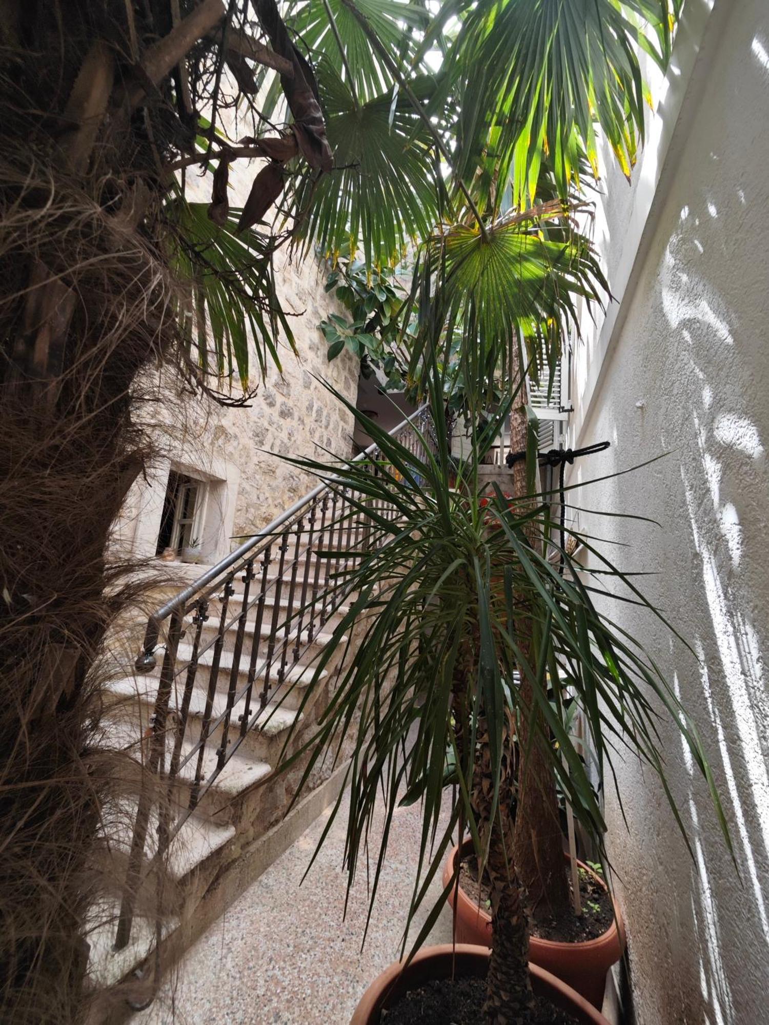 Beatrix Suites Budva Exteriér fotografie